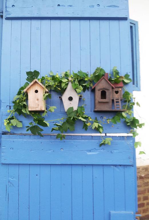 B&B Au Petit Tambour D'Autingues Dış mekan fotoğraf